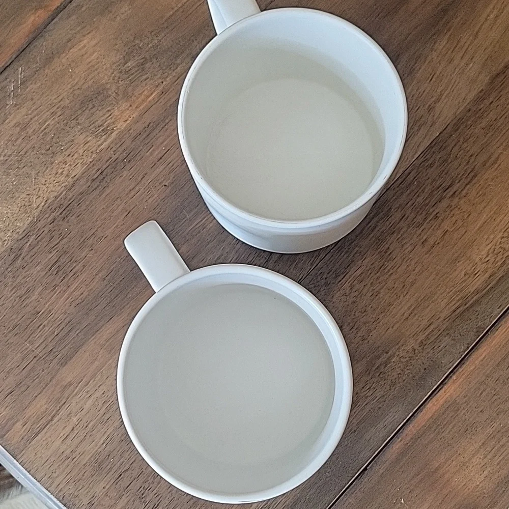 Pottery Barn Mason Stoneware Coffee Tea Mugs Set Of 2